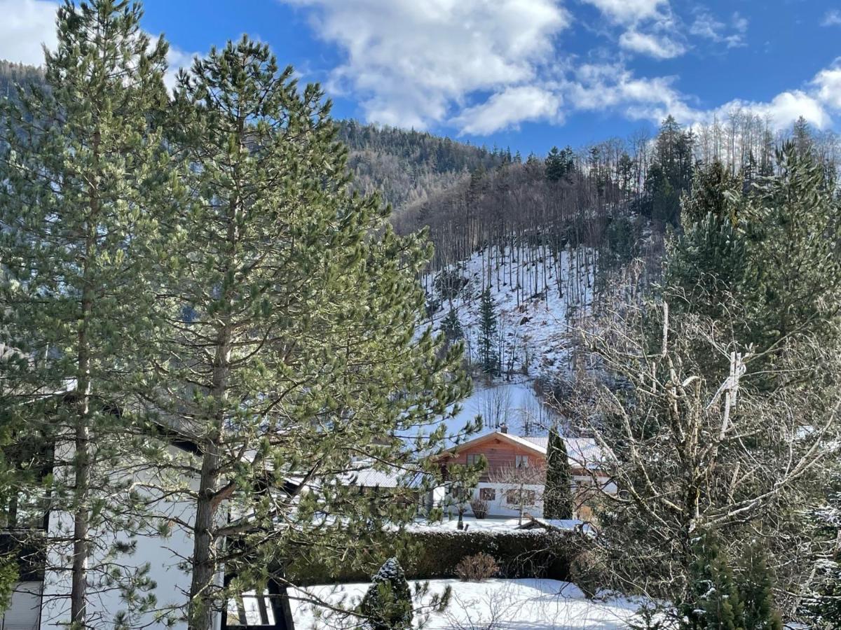 Appartement Geraeumiges Domizil Mit Bergblick Und Sauna *